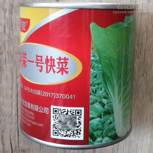 申荣一号快菜种子叶质柔软无茸毛四季速生小白菜早熟杂交快菜种籽