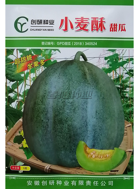 超甜小麦酥甜瓜种子 果肉绿色 糖度高 脆甜型香瓜 早熟易栽培 5克