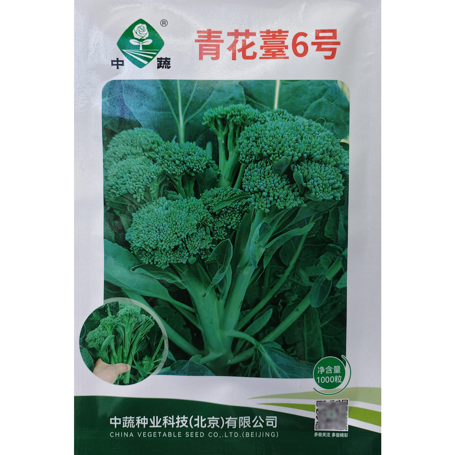 中蔬青花薹6号西兰苔种子青花菜