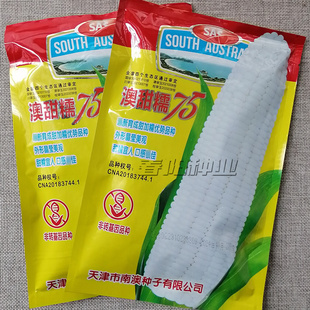 澳甜糯75玉米种子春秋甜加糯鲜食白黏玉米种籽甜粘可口皮薄无渣
