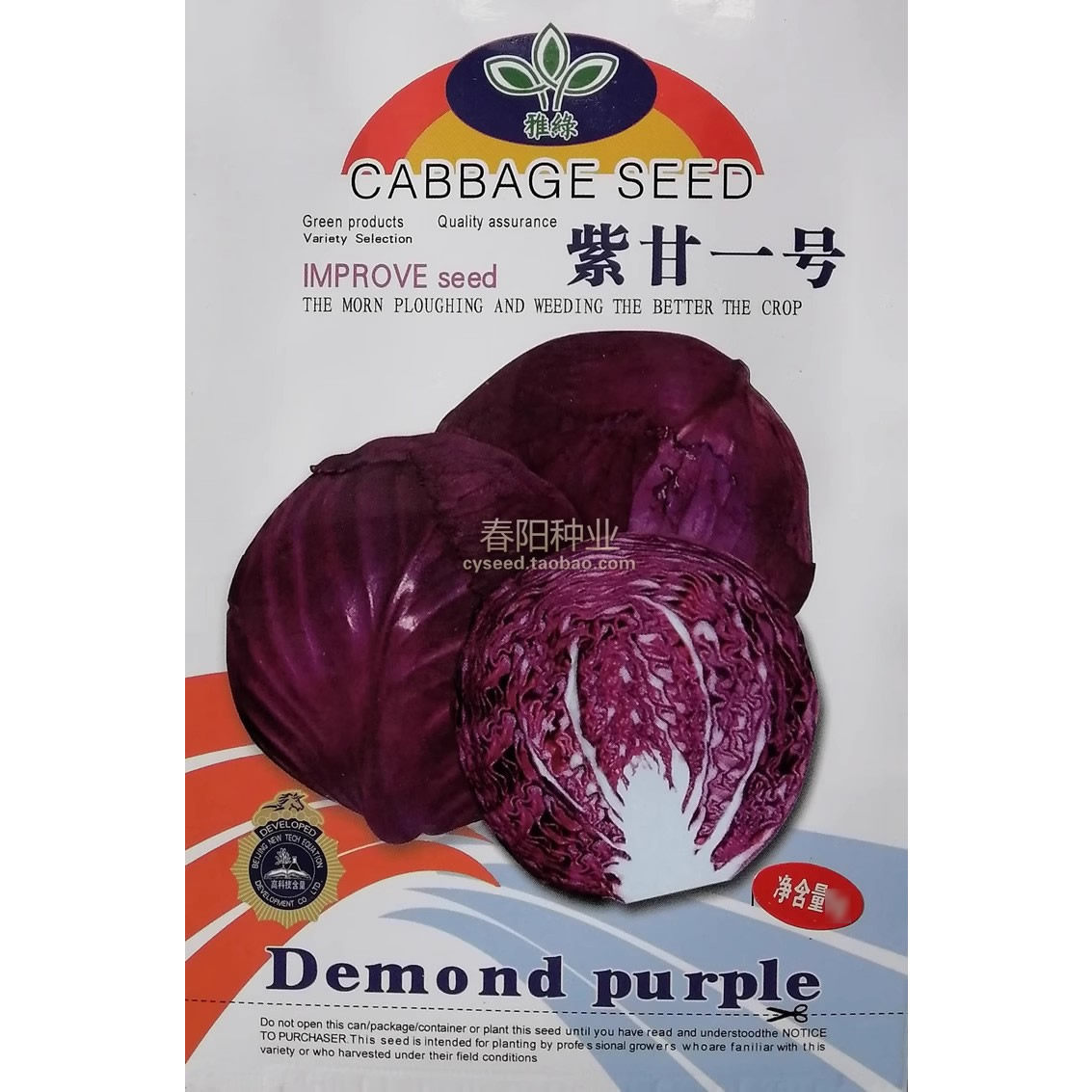 紫甘一号 紫甘蓝种子 紫包菜种籽 一代杂交基地高产蔬菜种子 2克