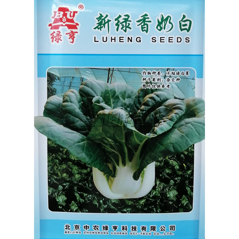 绿亨绿香奶油白菜种籽高产优质图片