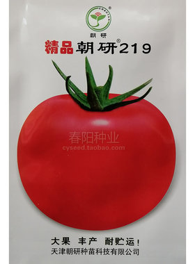 朝研219番茄种子果实大