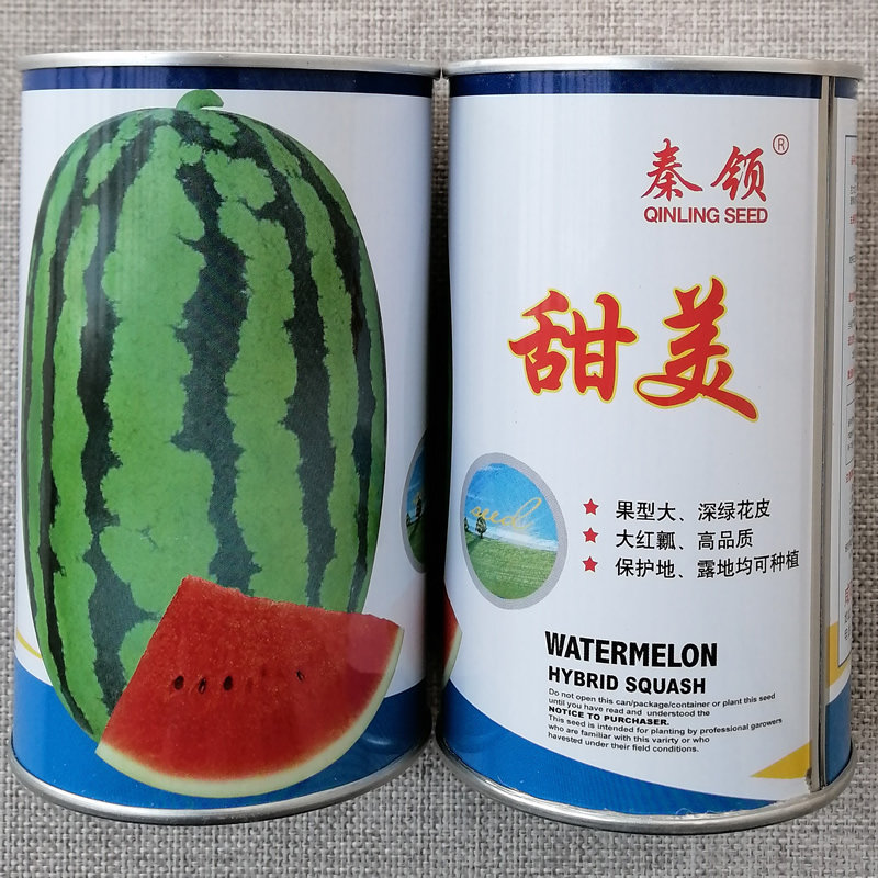秦领甜美西瓜种子大红瓤多汁