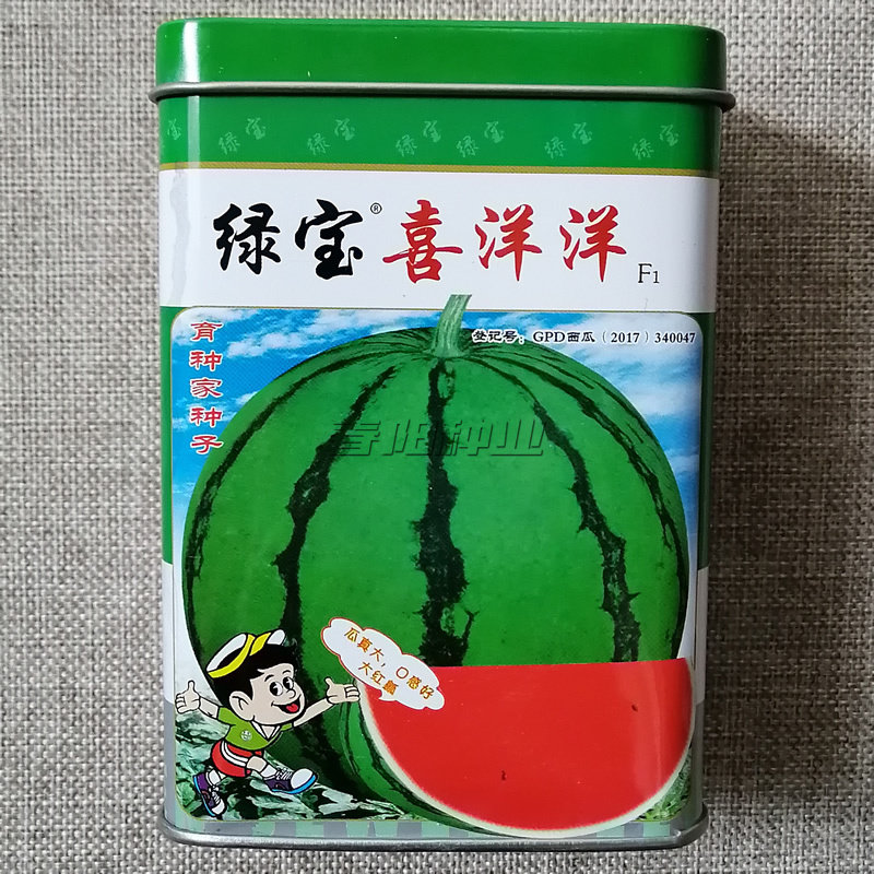 绿宝喜洋洋圆形西瓜种子