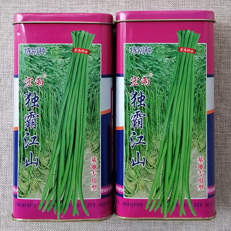高产早熟豇豆种子四季蔬菜基地