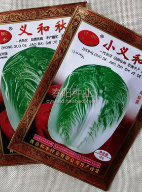 义和秋大白菜种子老品牌胶州