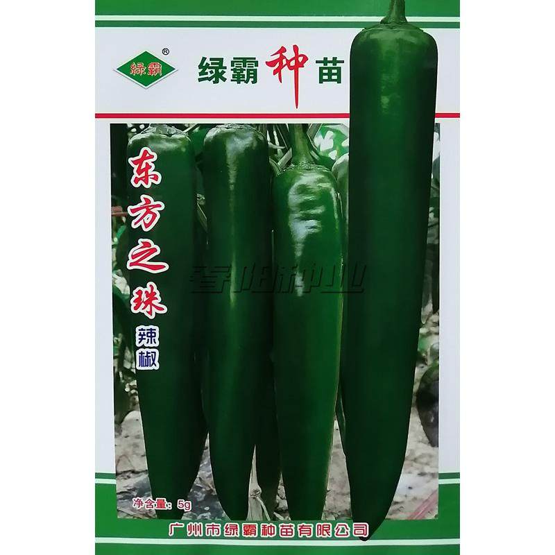 东方之珠辣椒种子中早熟粗牛角椒种籽味辣果皮深绿色光滑肉厚高产,鲜花速递/花卉仿真/绿植园艺,家庭园艺种子,淘宝优惠券,粉丝福利购,淘宝优惠卷