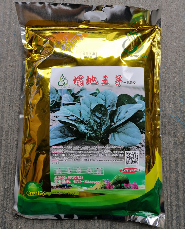 塌地菠趴地菠菜种籽口感滑甜
