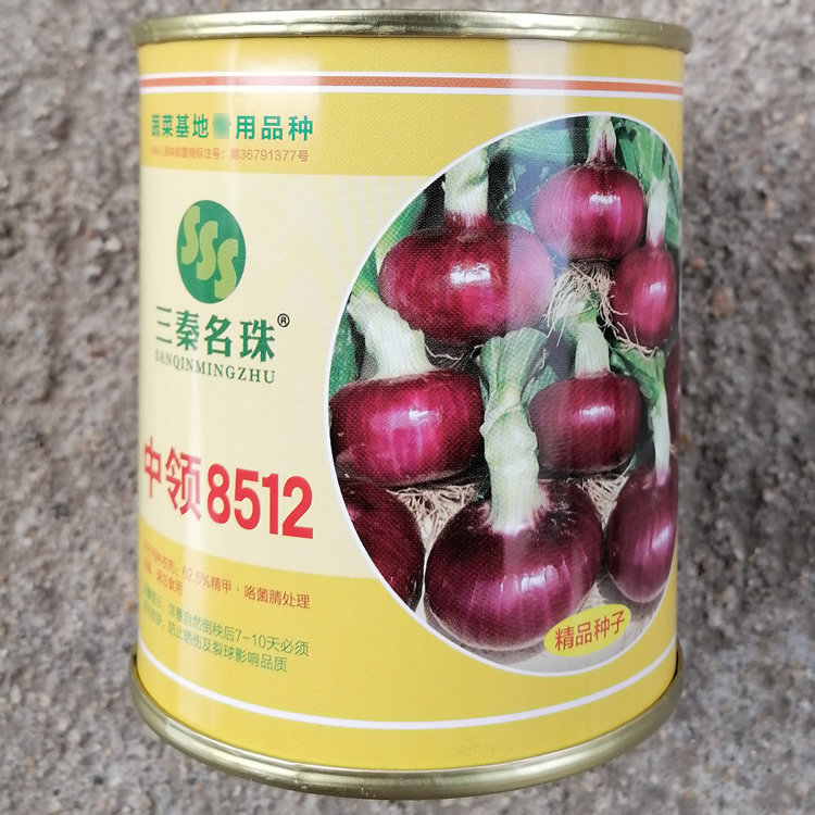 中领8512紫红皮洋葱种子中领喜鹊
