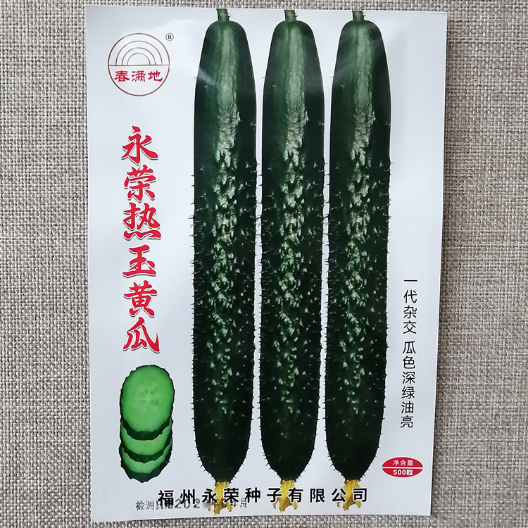 永荣热玉黄瓜种子瓜条深绿油亮顺直高产黄瓜种籽短把密刺果肉淡绿