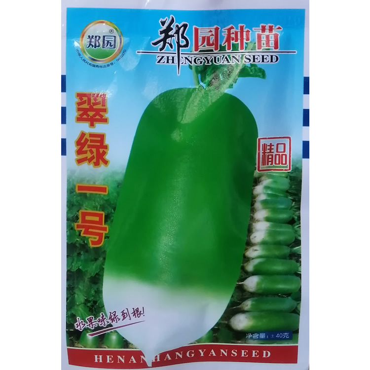 秋季萝卜种籽蔬菜种子