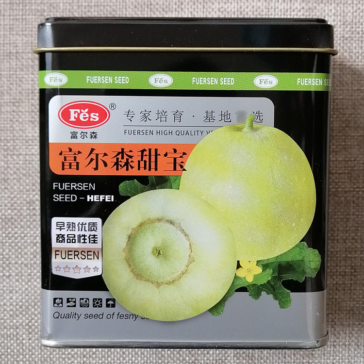 富尔森甜宝种子 肉质脆 香甜可口 果肉淡绿 日本甜宝甜瓜香瓜种籽