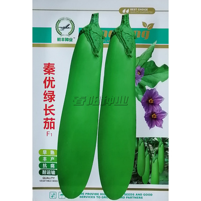 航丰秦优绿长茄种子青茄子种籽