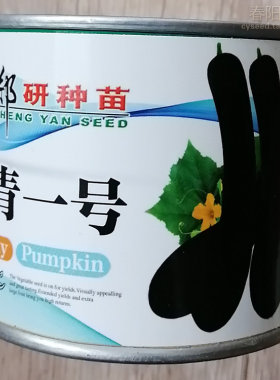 郑研正青一号南瓜种子瓜条墨绿春秋播早熟菜用南瓜品种嫩瓜口感好