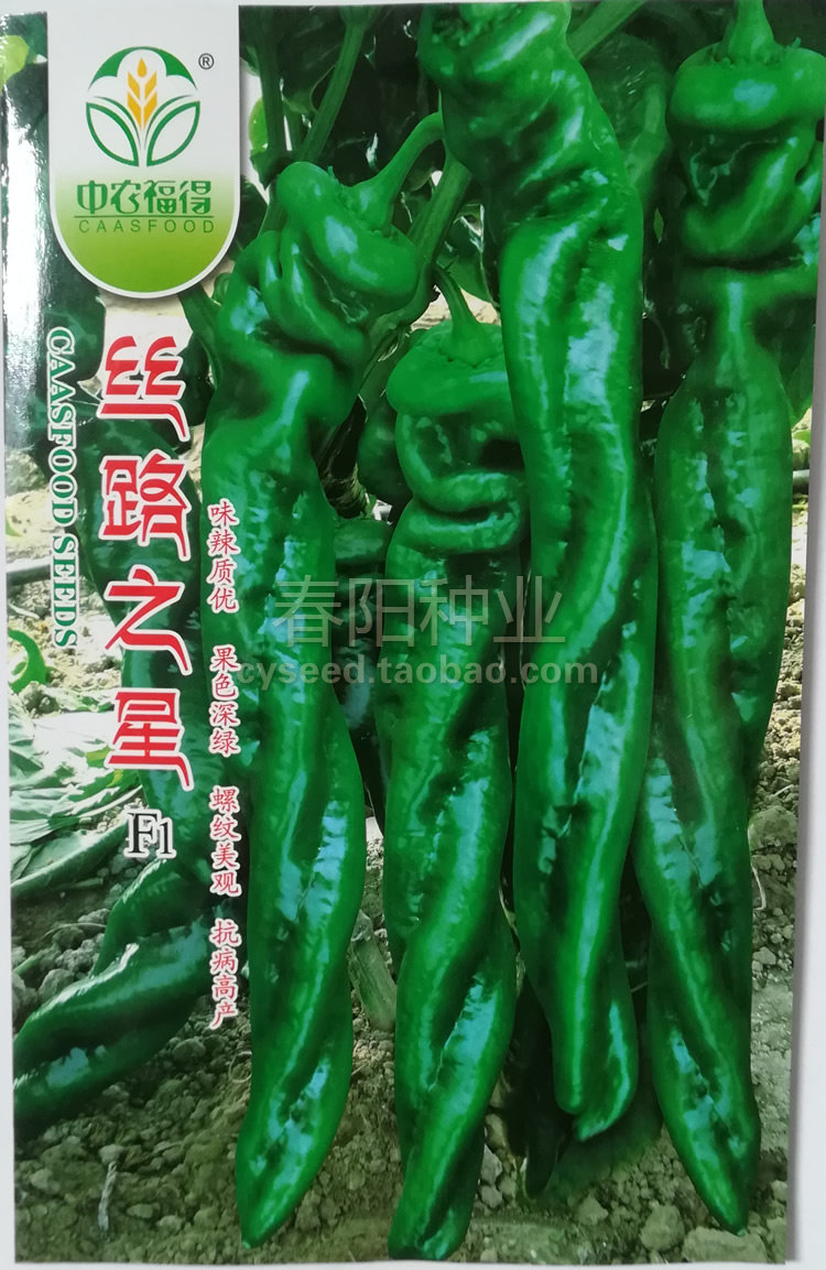 丝路之星螺丝椒种子 果色深绿螺纹美观 抗病高产农科院辣椒种籽