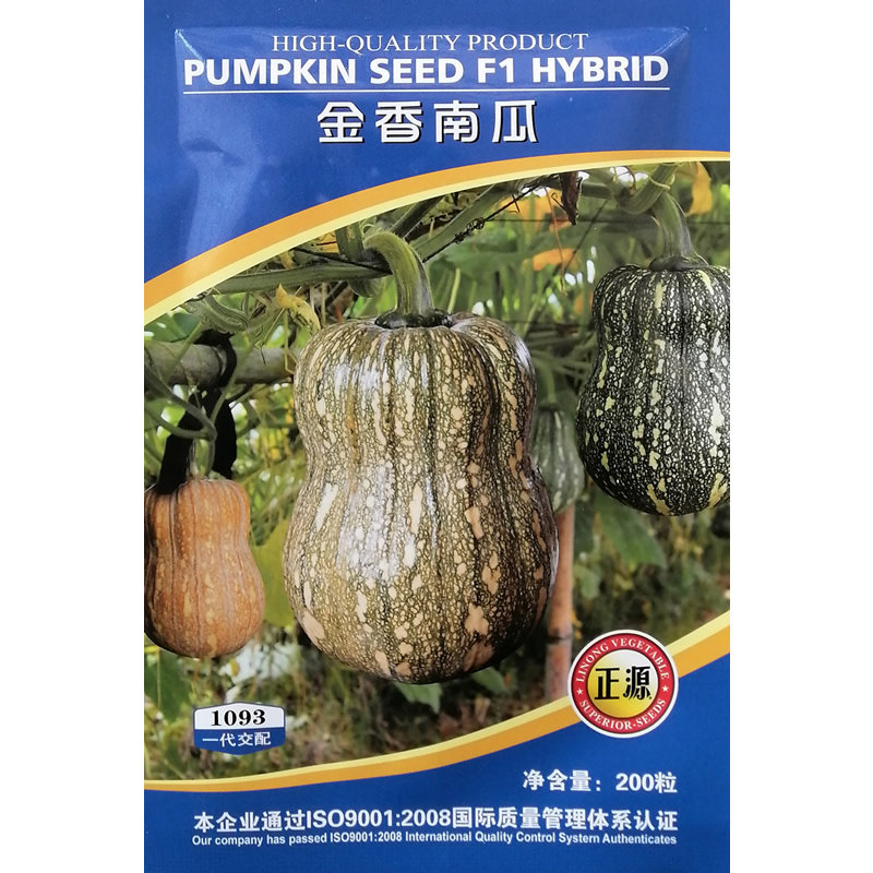 和利农金香南瓜种子香香南瓜种籽