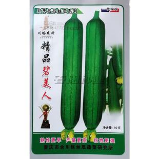 精品碧美人丝瓜种子早熟杂交耐湿热油皮丝瓜种籽瓜条油亮深绿皮薄