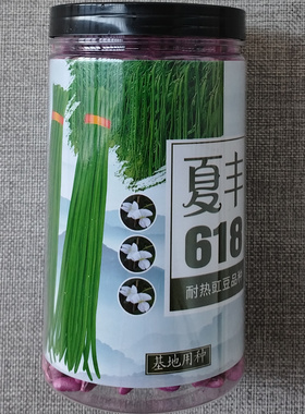 夏丰618耐热豇豆种子抗热豆角种籽白籽白花华农富丽翠绿条长豆角