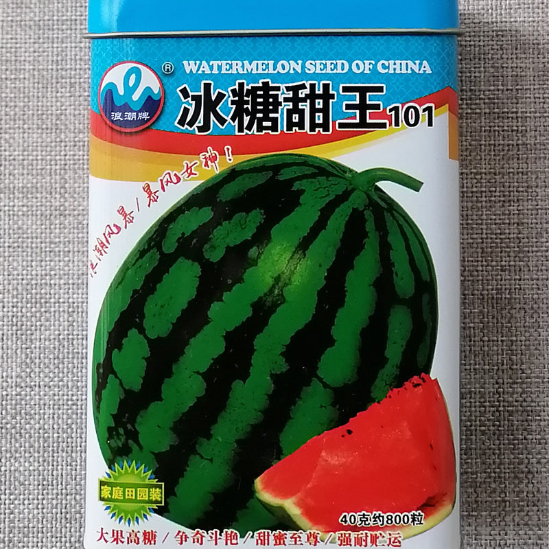 浪潮冰糖甜王西瓜种子大果高糖短椭圆绿花皮西瓜种籽酥脆香甜多汁