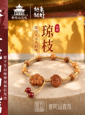 普陀山真桃木转运珠手链女款