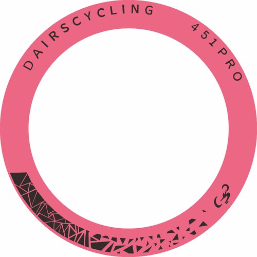 DAIRSCYCLING PRO406 PRO451折叠车轮组贴纸小轮车轮毂贴儿童车贴