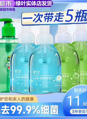 绿叶芦荟500ml温和泡沫洗手液