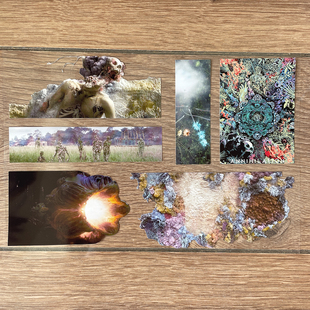 奇怪猫电影系列经典 饰收藏手帐贴纸 科幻湮灭谷子周边电脑琴箱装