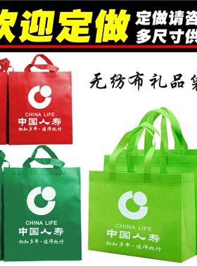 中国人寿无纺布保险单会议手提袋