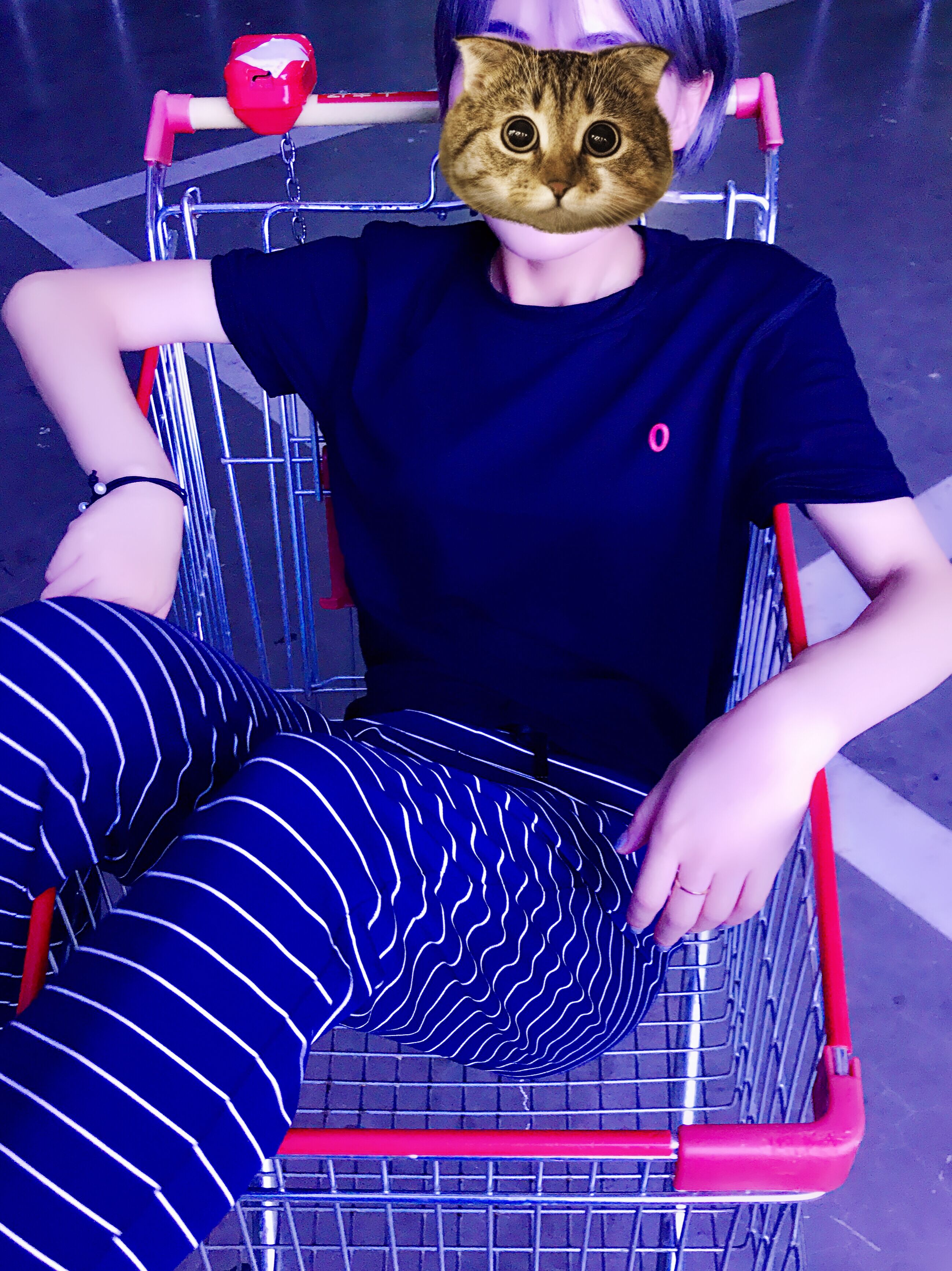 »ù´¡È¦