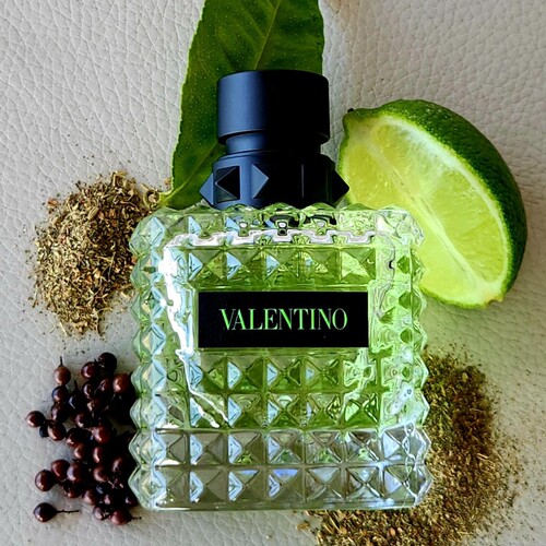 花茶香调正常茉莉香草Valentino