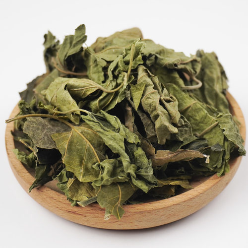 桑叶中药材霜打霜后桑叶干干桑叶泡水喝霜桑叶茶桑树叶中草药