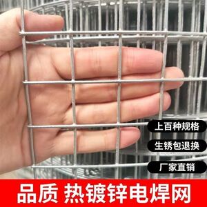 正品热镀锌铁丝网养殖网钢丝网拦鸡网兔笼养鸡网鸟笼阳台防护网