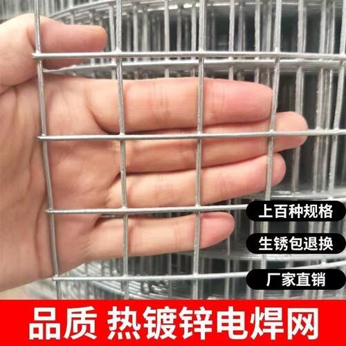 正品热镀锌铁丝网养殖网钢丝网拦鸡网兔笼养鸡网鸟笼阳台防护网