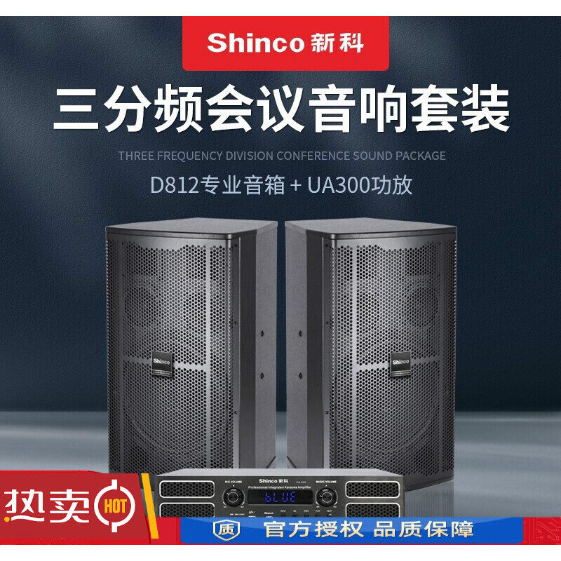 新科专业会议室音响套装蹈房教室音箱健身房卡拉ok功放话筒调音台