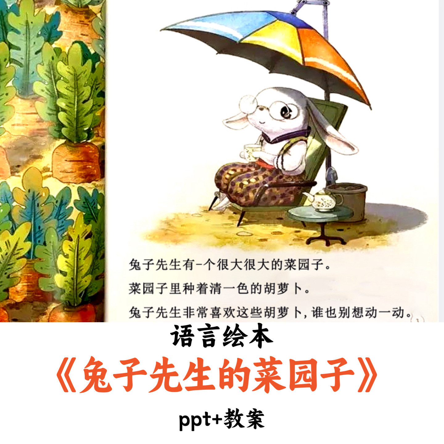 幼儿园语言绘本《兔子先生的菜园子》PPT教案优质公开课