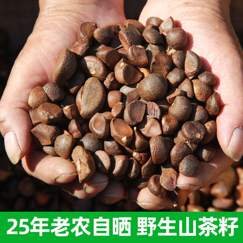 野生天然山茶籽油茶仔榨油原料茶树果农家洗头山茶子带壳油料500g