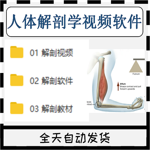 人体解剖学视频教程3D三维立体人体解剖软件临床医学骨骼肌肉课件