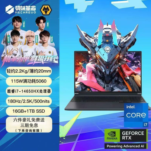 机械革命极光X满功耗5060游戏本