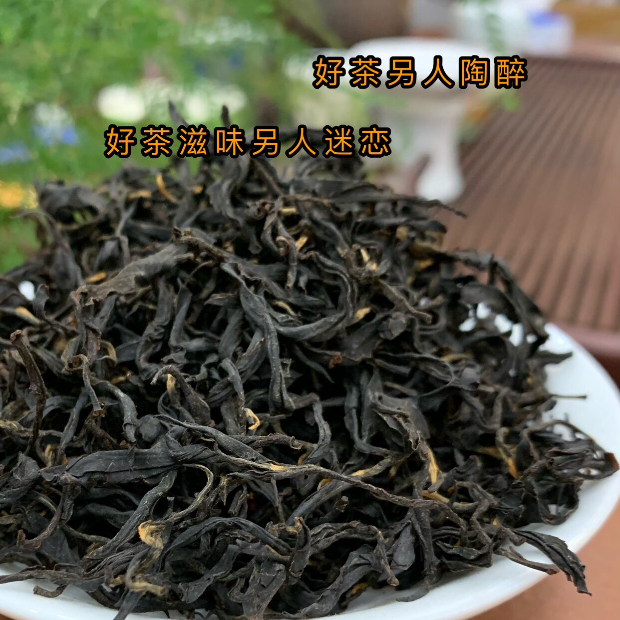 云南高海拨荒野古树红茶 800年树龄 香爽韵味迷人