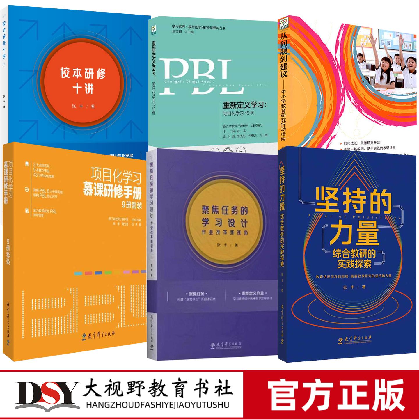 张丰教育系列 坚持的力量 重新定义学习项目化学习15例 聚焦任务的学习设计 从问题到建议 校本研修十讲 项目化学习慕课研修手册