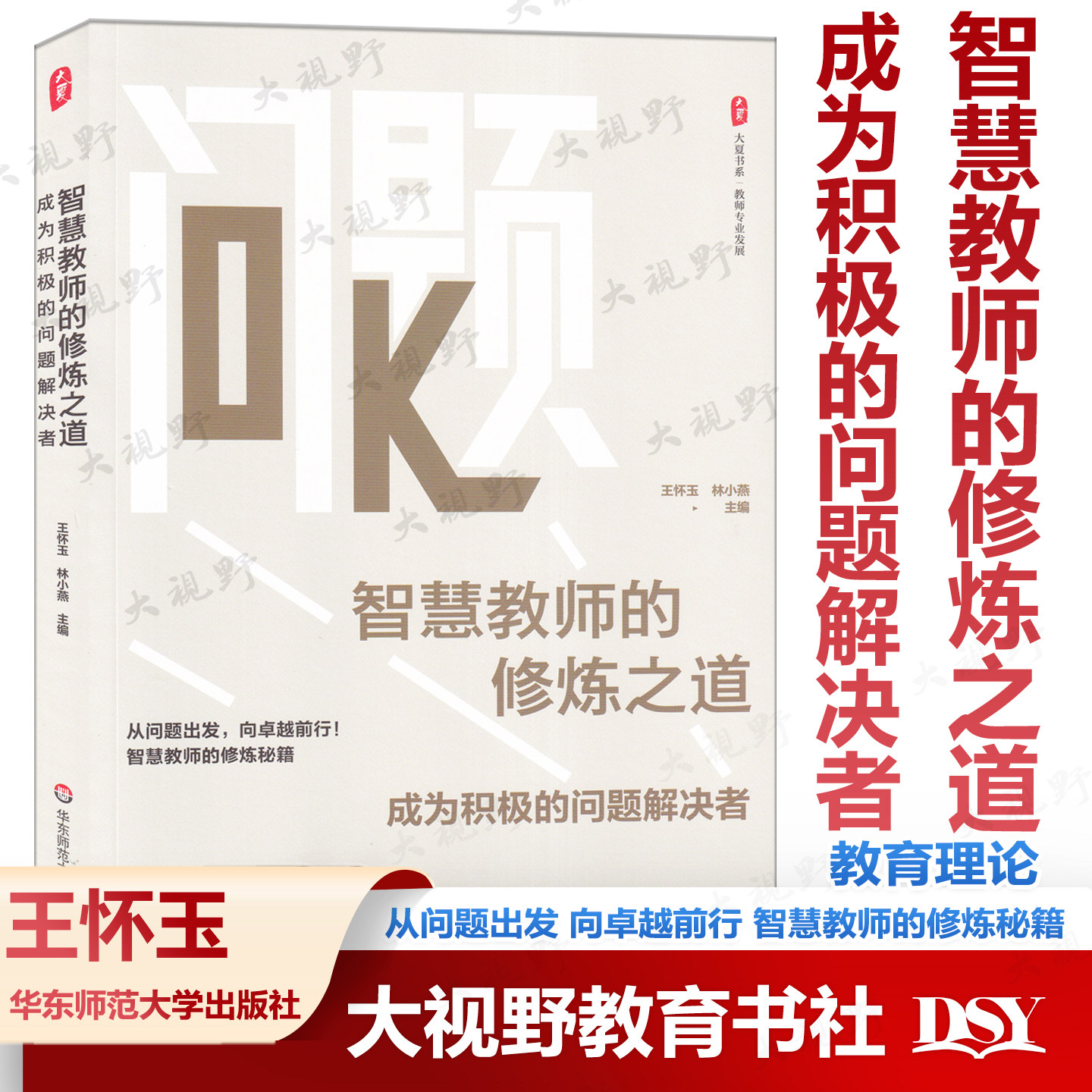 智慧教师的修炼之道 成为积极的问题解决者 王怀玉 林小燕 主编 大夏书系 教师专业发展 华东师范大学出版社