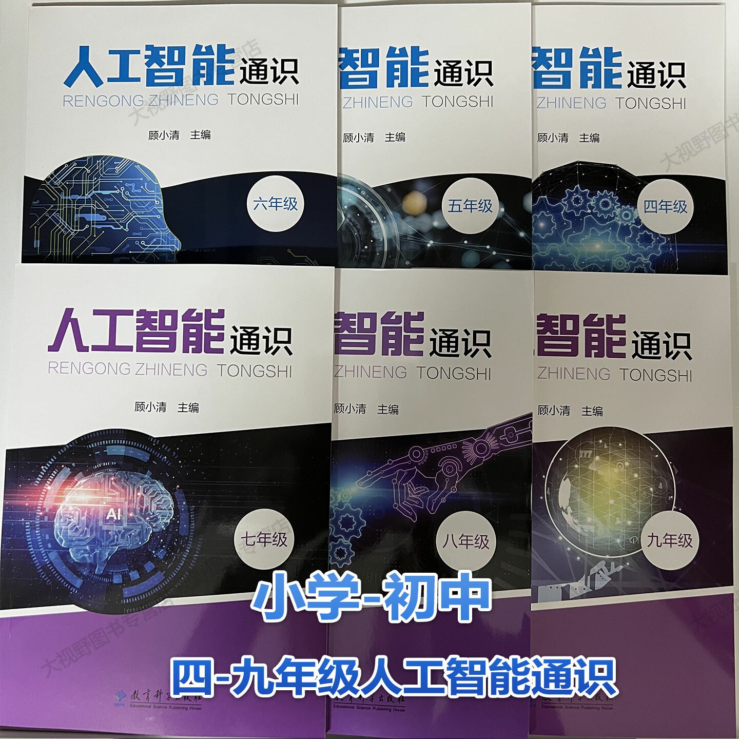 人工智能通识四五六七八九4-9年级 顾小清 《中小学人工智能通识教育指南(2025年版)》阶段递进式设置课程项目化设计跨学科融合 原