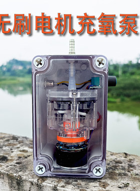 12V车载555无刷电机大功率充氧泵