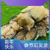 Товары от 牧野虫社