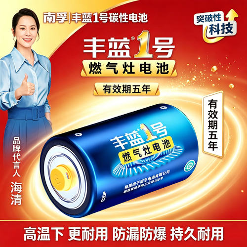 南孚丰蓝1号电池燃气灶热水器R20
