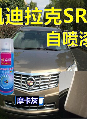 适用凯迪拉克SRX专车自喷漆