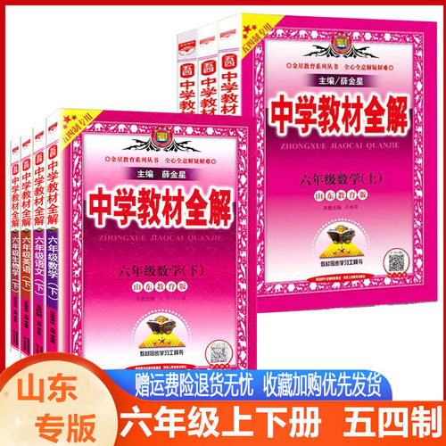 薛金星中学教材全解六年级语文