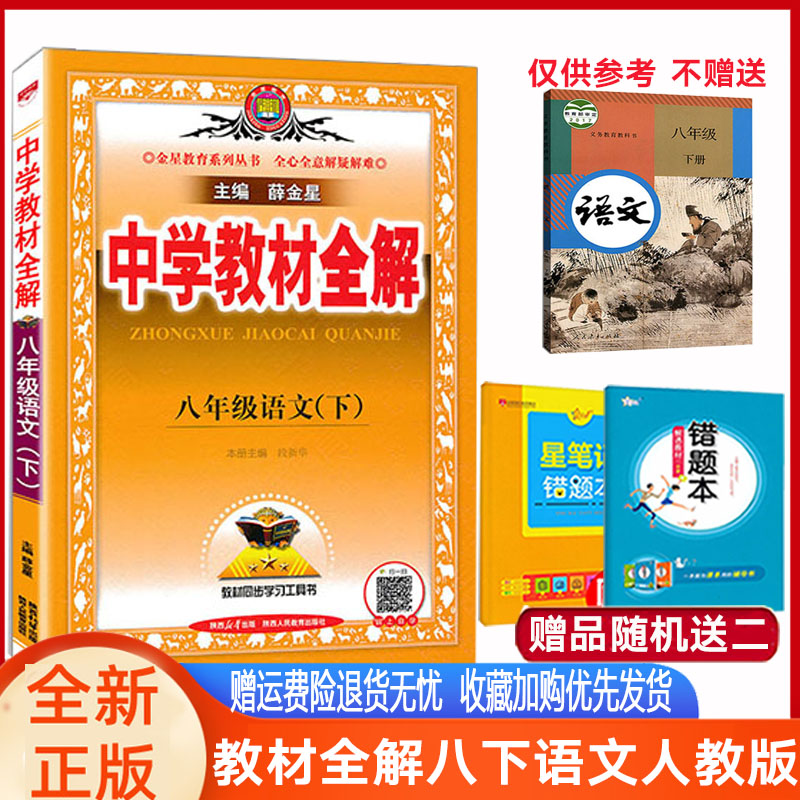 中学教材全解语文八年级下册语文人教部编版RJ 2024版金星教育初中8年级下册语文教材全解初二下册语文教材解读辅导资料中学教辅-封面