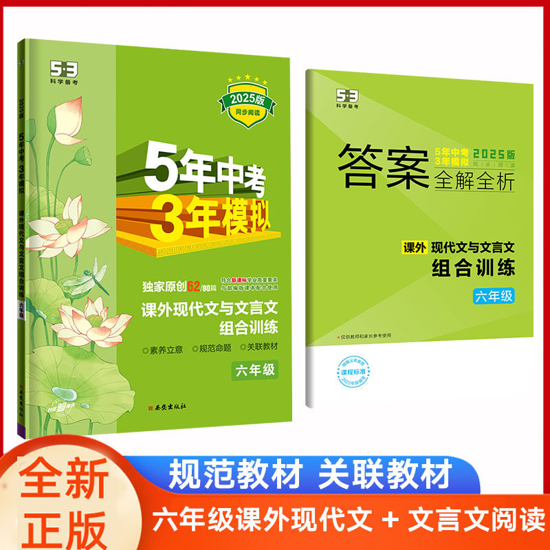 5年中考3年模拟初中语文同步阅读训练六年级现代文与文言文答题技巧五